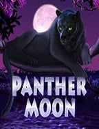 joker ฝาก 9 บาท ได้ 100pg soft logo เกมสล็อตทำกำไรสุดฟิน